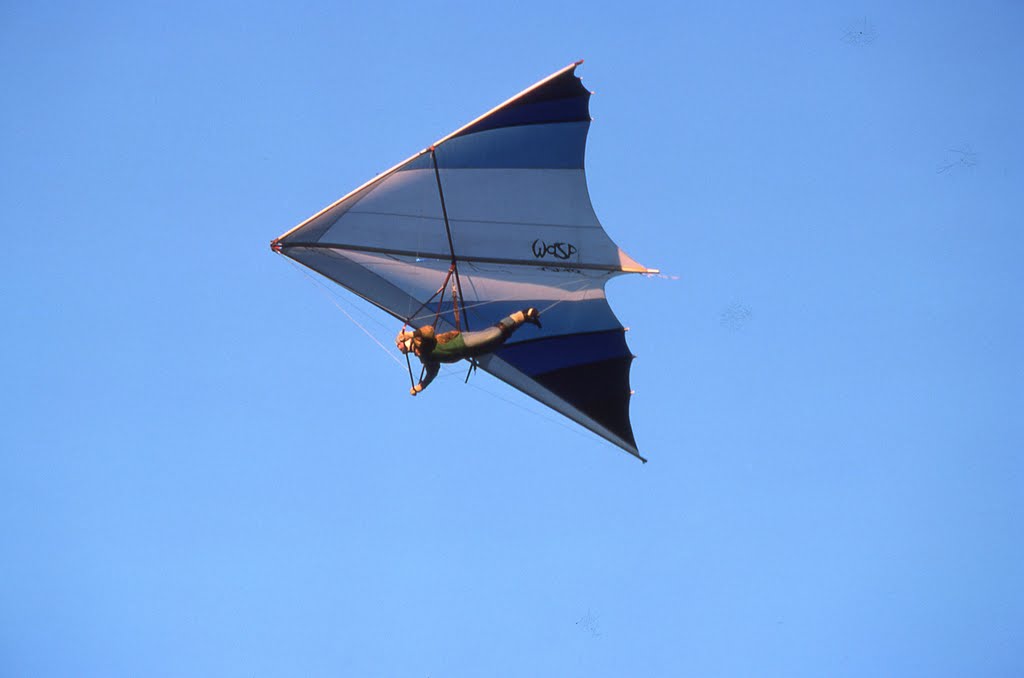Wasp Falcon3, flown by Roger Black